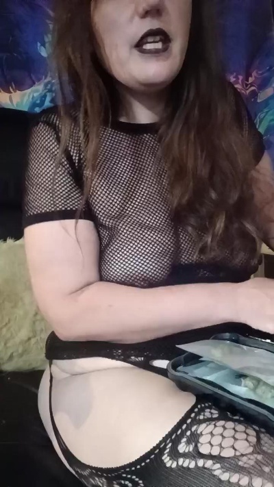 CumulusKitten live from United States