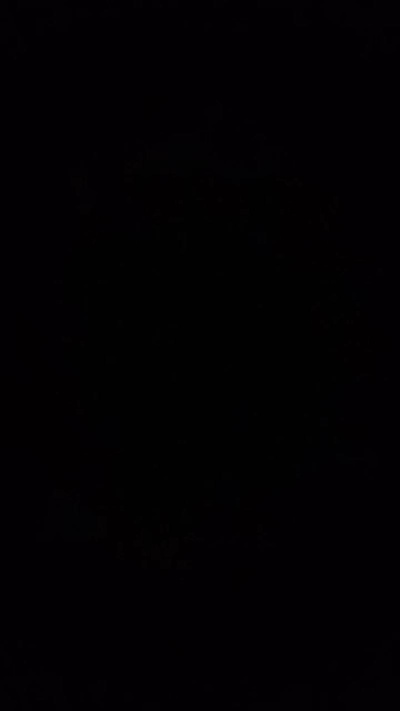 Foijr live from Brazil