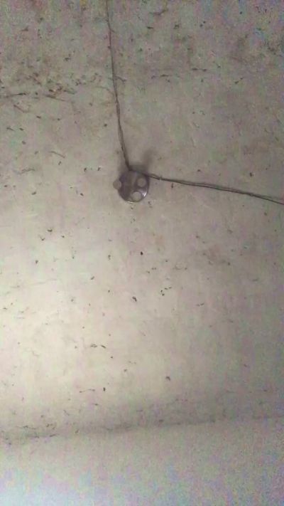 agusaguss live from Argentina