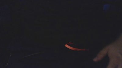 amante_1986 live from Spain