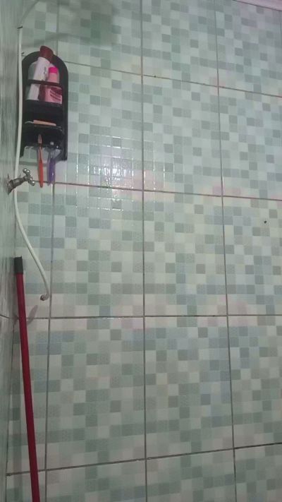 casaltrasante5 live from Brazil