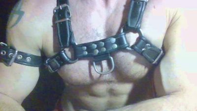 horny__pig live from United States