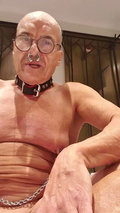 pigjebX live from France