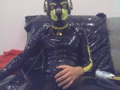 puppy_tomik live from Czechia